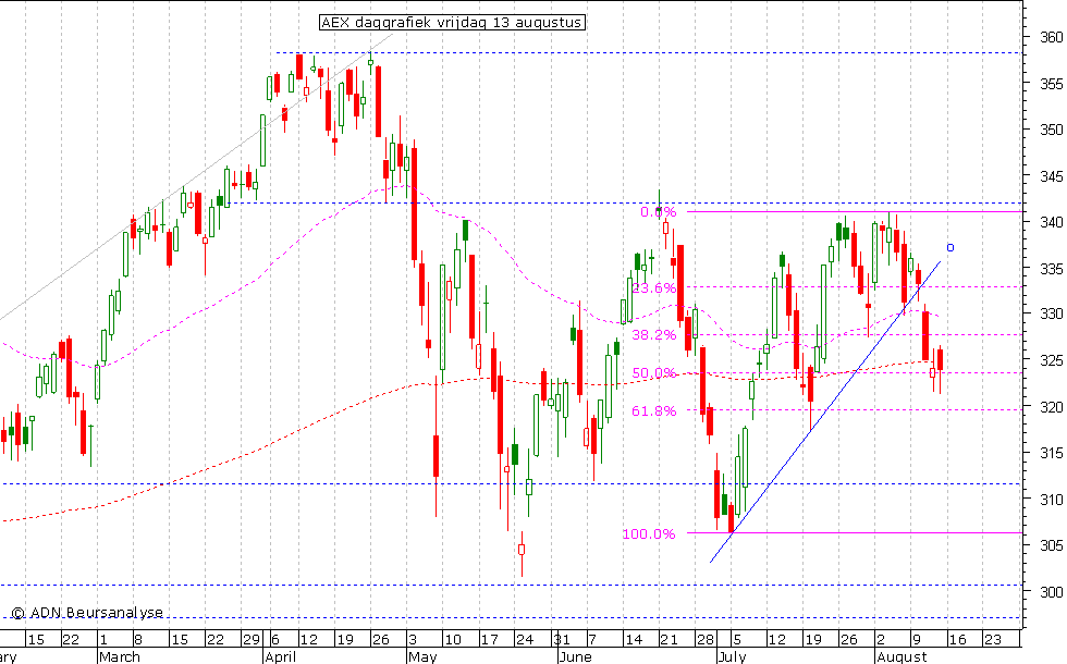 AEX daggrafiek 130810