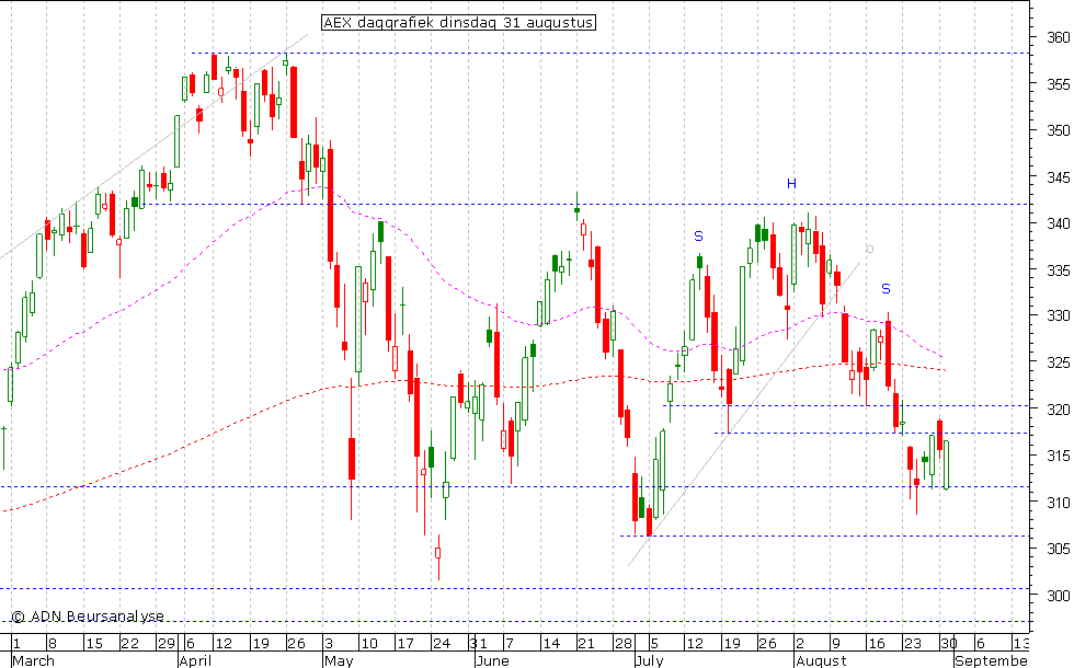 AEX daggrafiek 310810