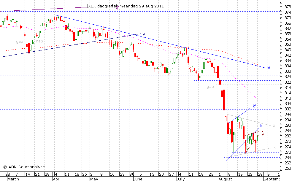 AEX daggrafiek 290811